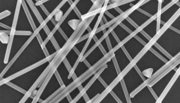 A nanowire mesh electrode developed at Duke is 10 times more conductive than the materials now used in hydrogen fuel cells.