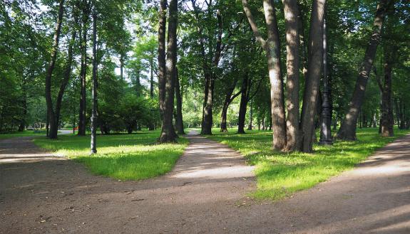 Ralph Keeney, research professor emeritus at the Fuqua School of Business, has three tips to help you make better decisions when encountering choices.