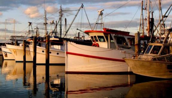 fishing boats in Australia