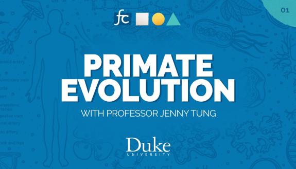Primate Evolution with Professor Jenny Tung