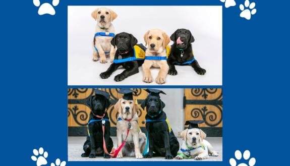 The Duke Puppy Kindergarten's spring 2022 class