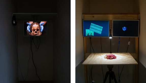 Two S3026 installations (left to right): "Messengers," by Eric Coombs Esmail & Christian Hammons and "No Longer in Existence," a group show featuring work by Sasha de Koninck, Brad Gallagher and Josh Westerman.