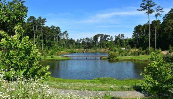 A success as both a campus utility project and a beautiful addition to the landscape, Duke Pond was recently honored by the American Society of Landscape Architects. Photo by Mark Hough.