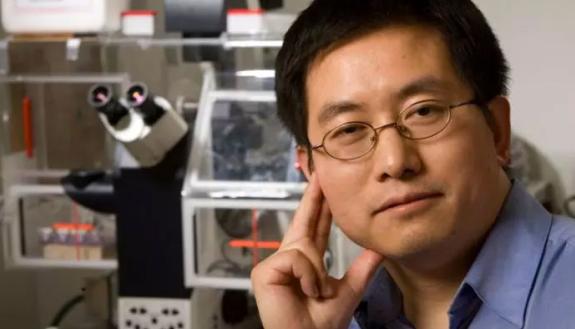 Lingchong You, the Paul Ruffin Scarborough Associate Professor of Engineering at Duke University