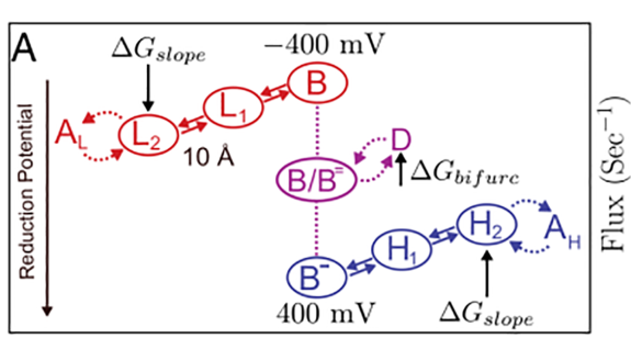 Yuly's diagram of the energy landscape from his paper.