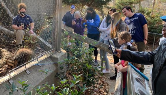 Visitors to the NC state zoo watch porcupine play with enrichment toy designed by Pratt engineering students