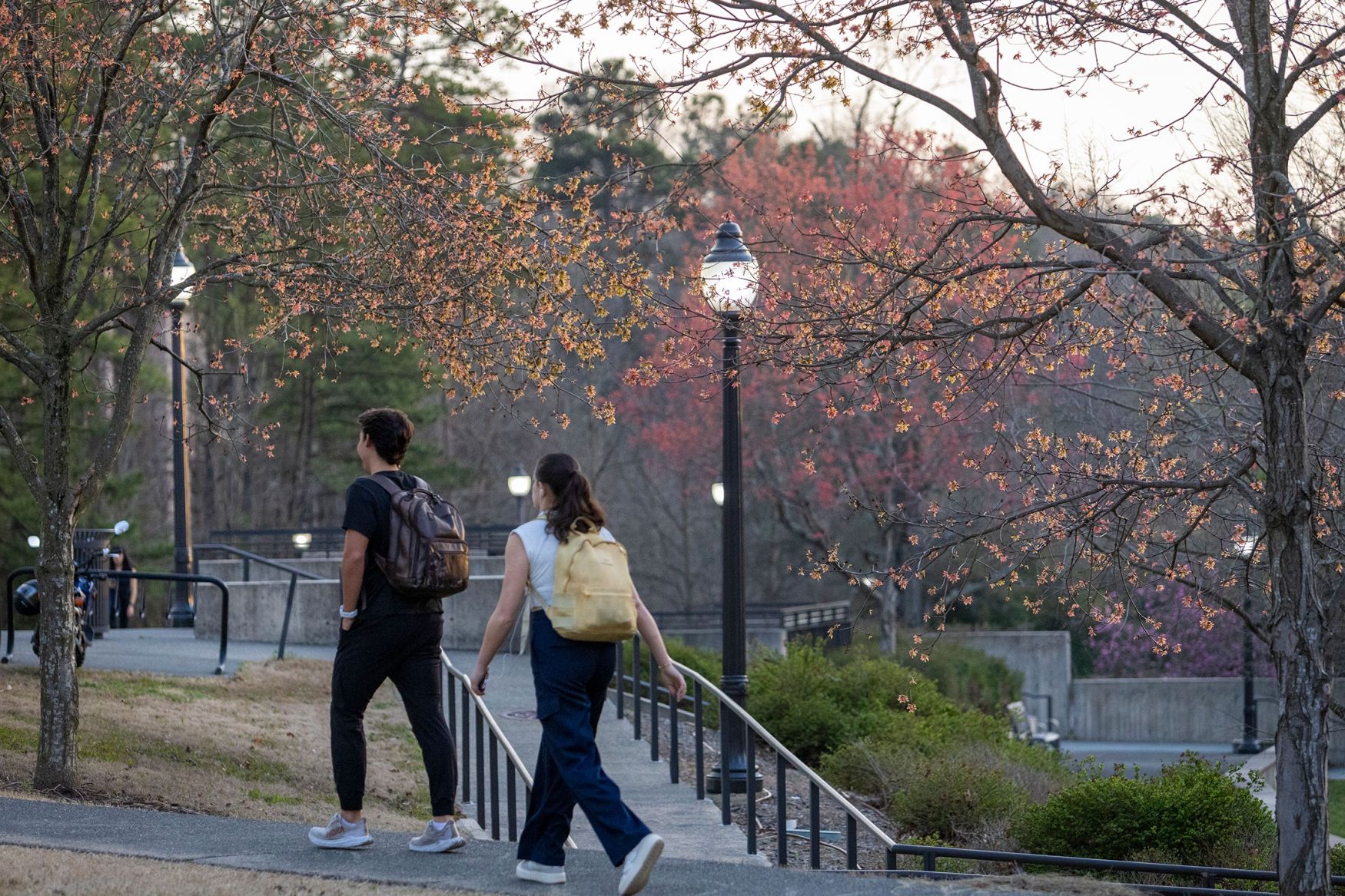 spring colors outside of theMath/Physics Building
