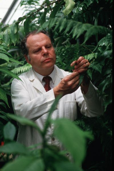 Richard White working in the Duke Botany Greenhouse.