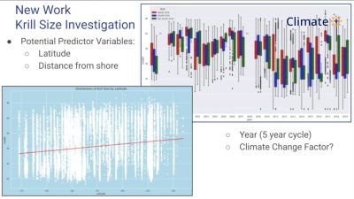 Charts showing size and movement of krill